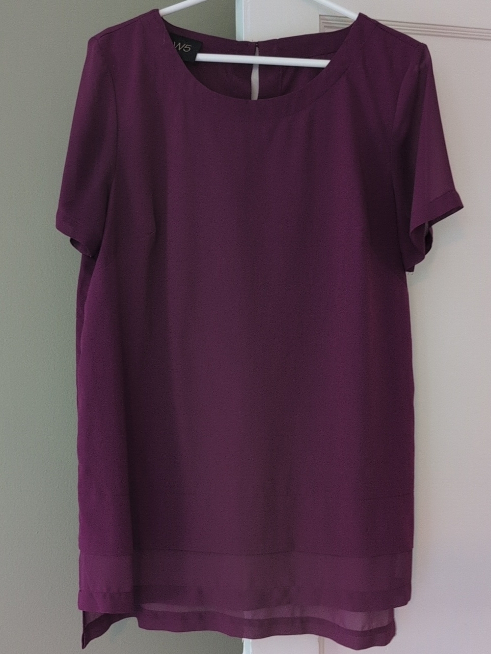 W5 Berry Short Sleeve Sheer Sleeve Tunic Blouse